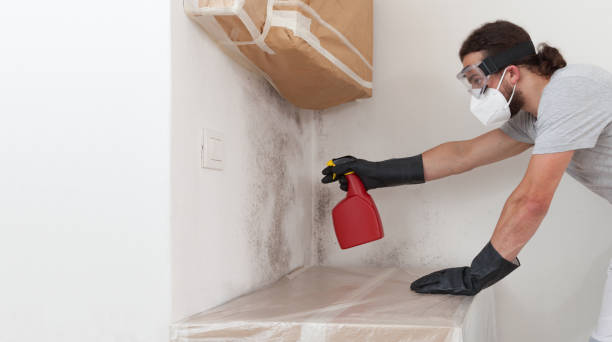 Professional Mold Cleanup technician working in Great Neck, NY